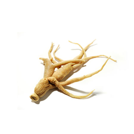 Kore Ginsengi (Panax Ginseng)